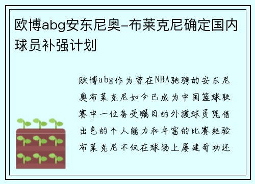 欧博abg安东尼奥-布莱克尼确定国内球员补强计划